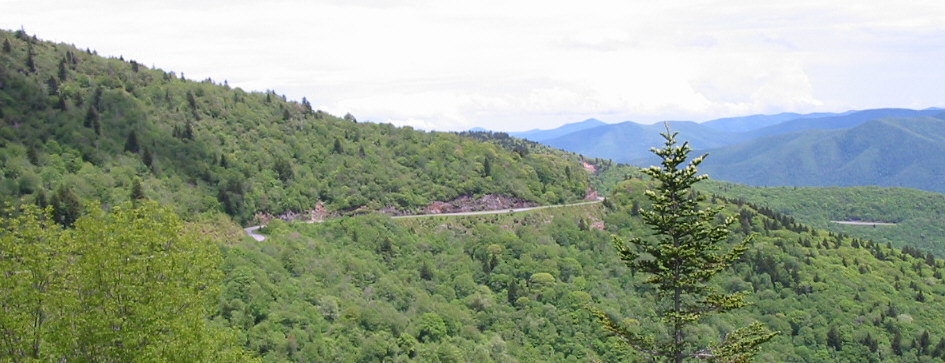 Blue Ridge Parkway Scene 2