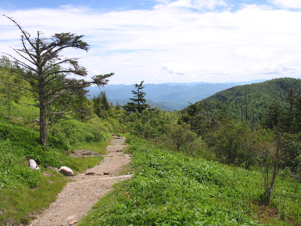Blue Ridge Parkway Scene 4