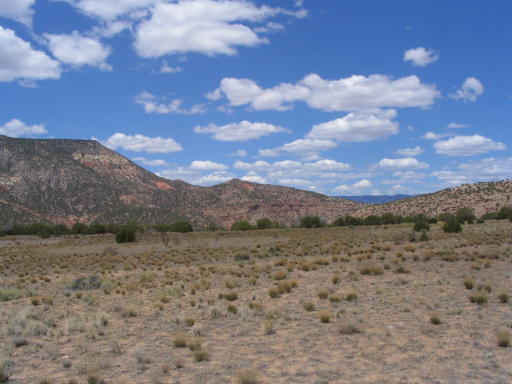 New Mexico